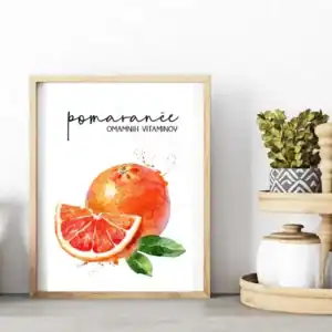 Ilustracija pomaranče za dom