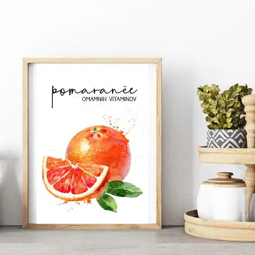 Ilustracija pomaranče za dom