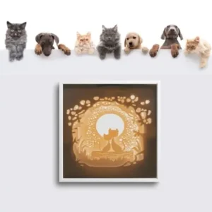 Zaljubljeni muci senčna slika